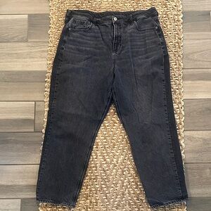 American Eagle Mom jeans size 16 short